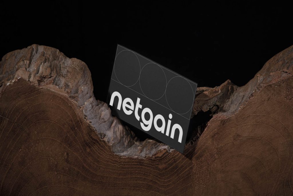 Netgain design mockup