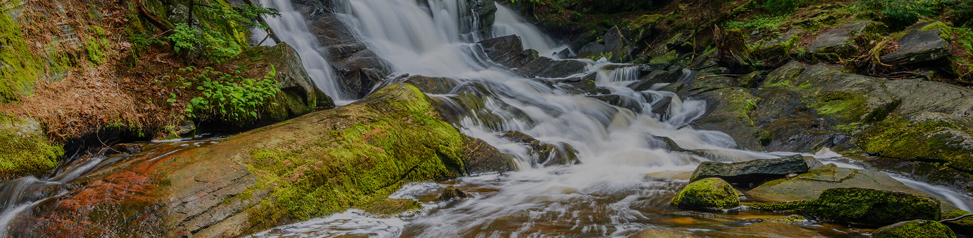 Babbling Brook in Bracebridge