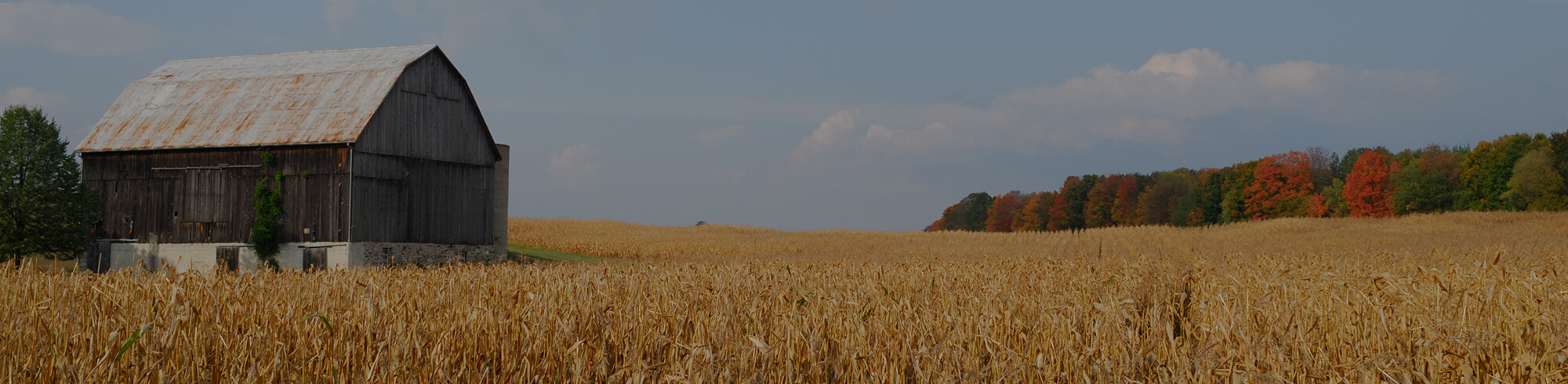 Farmhouse in Orangeville